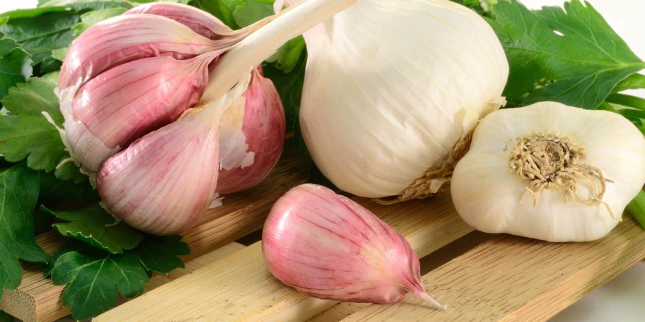 Bildergebnis für Benefits of garlic?