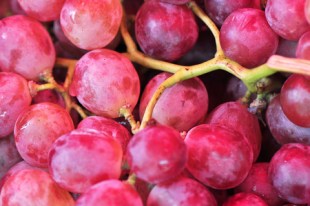 Can resveratrol help slow aging?