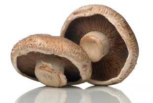 Can Mushrooms Really Help Prevent Breast Cancer?