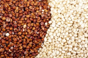 Quinoa Puts the Super in Superfood