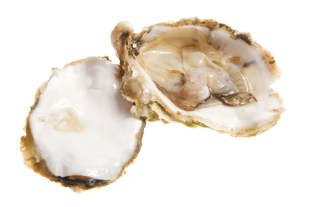 Oysters-high-in-magnesium-and-zinc.jpg
