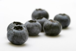 Blueberries isolated against a white background