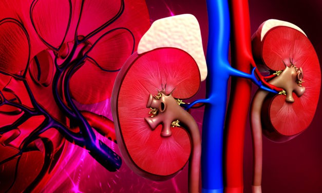 What is a glomerular filtration rate test?
