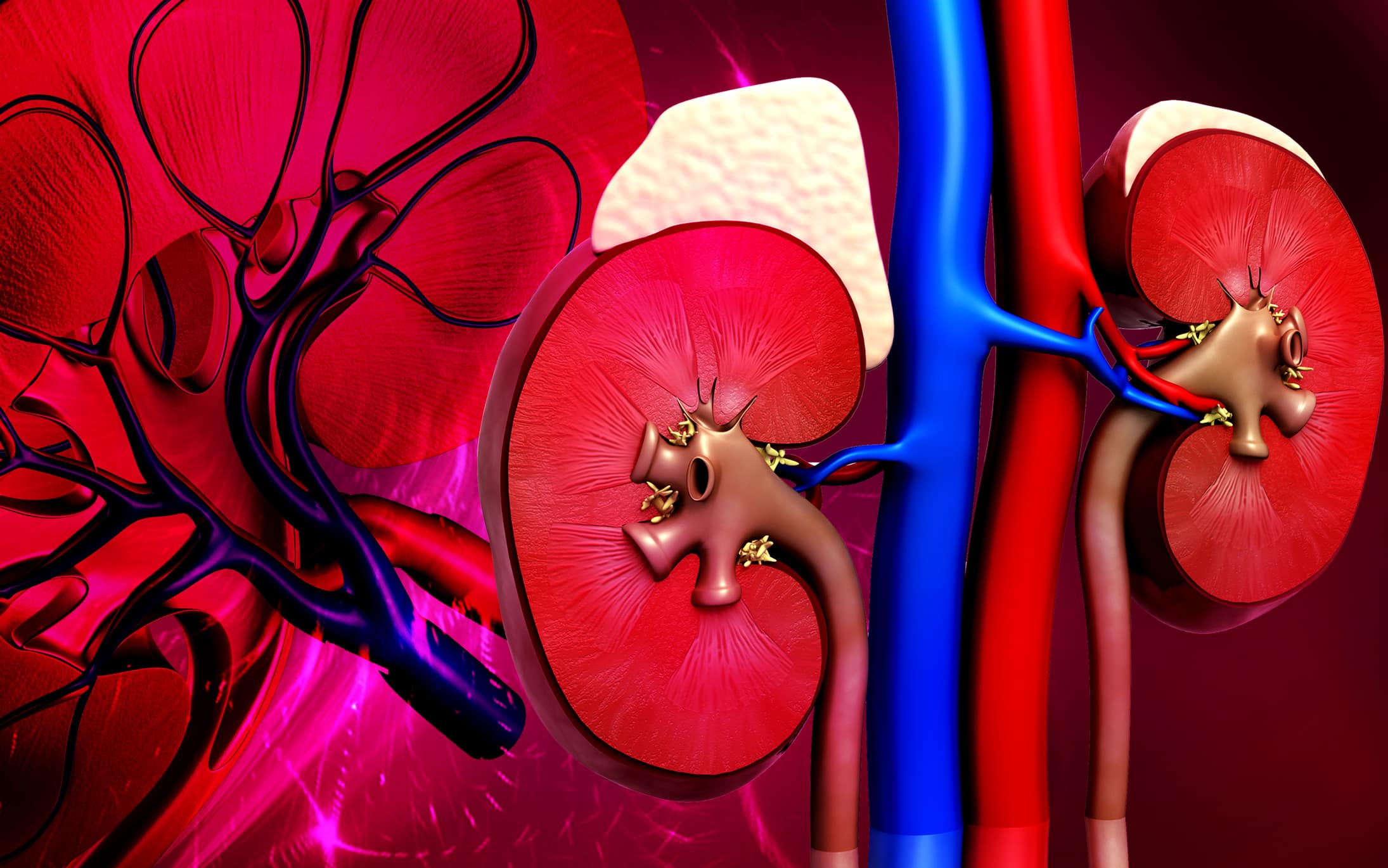 What is a glomerular filtration rate test? - Slow Aging | Healthy living,  healthy aging