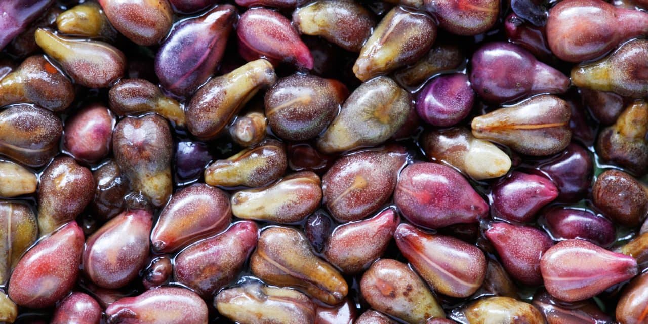 Grape seed extract health benefits