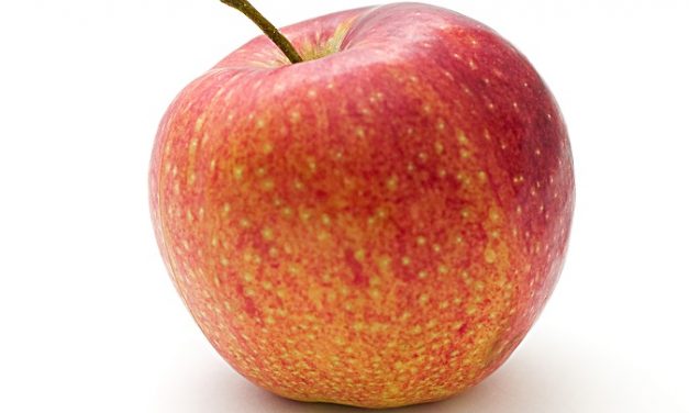 Waist-to-hip ratio (WTH) – are you an apple or a pear?